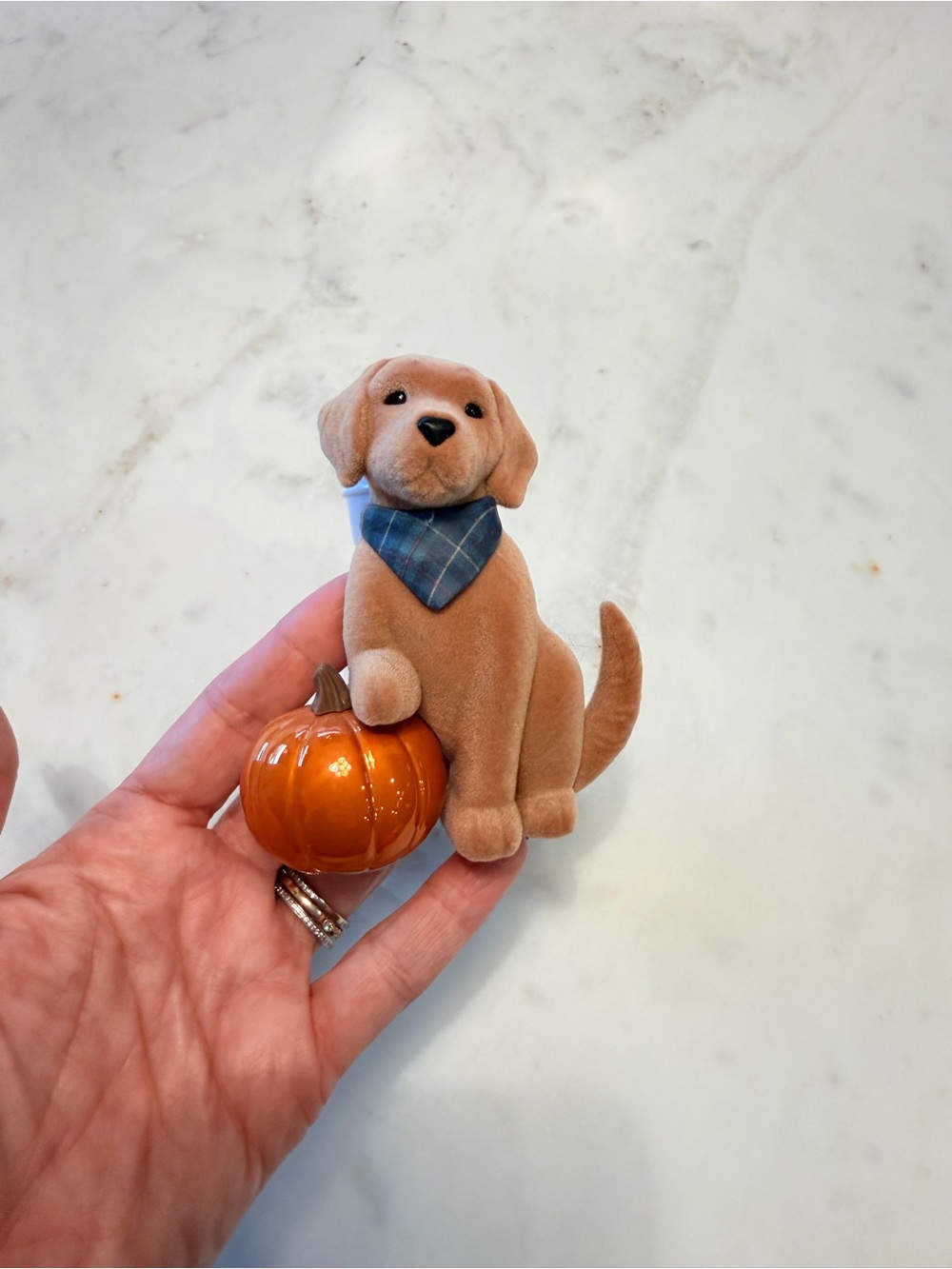 Bath and Body Works Pumpkin Puppy Dog Wallflower NWOT